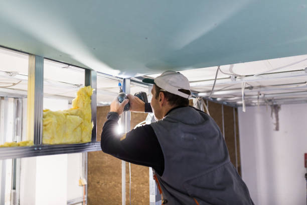 Best Attic Insulation Installation  in Bellevue, NE