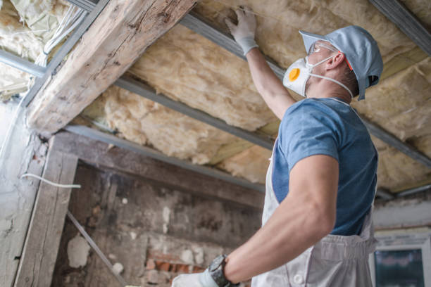 Best Wall Insulation Contractor  in Bellevue, NE