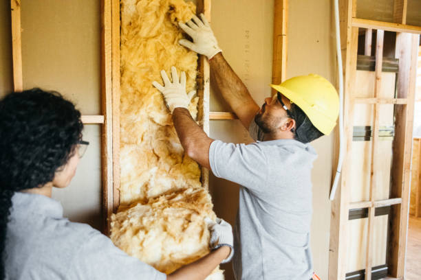 Best Insulation Removal  in Bellevue, NE