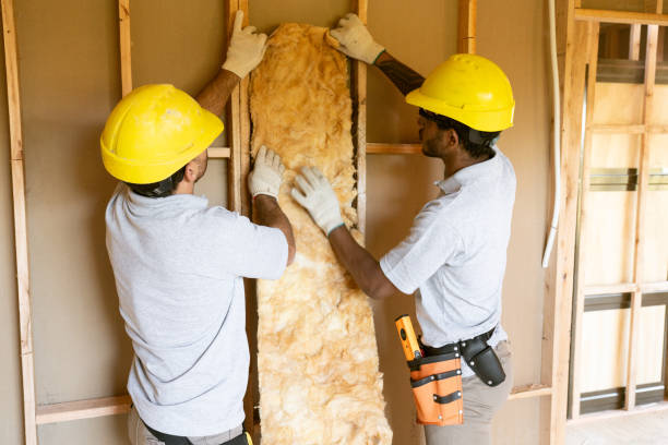 Best Residential Insulation Services  in Bellevue, NE
