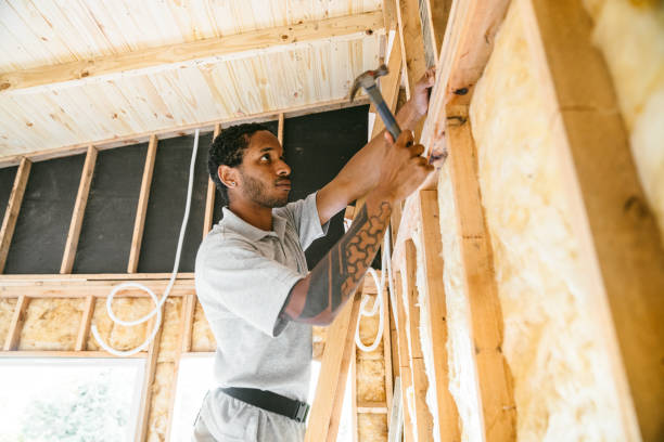 Best Insulation Repair Services  in Bellevue, NE