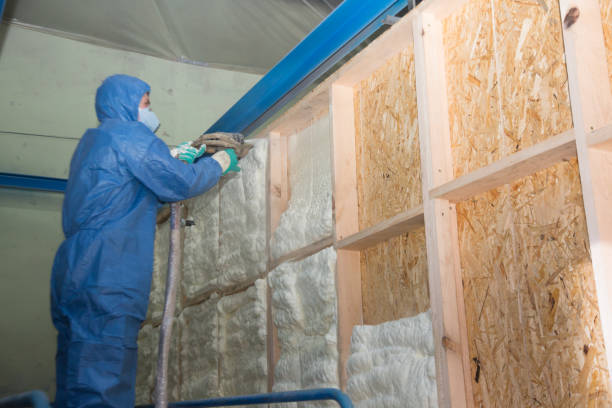 Best Local Insulation Services  in Bellevue, NE