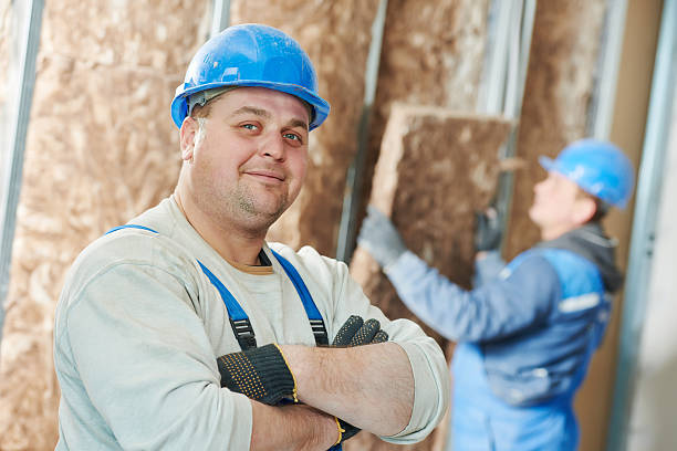 Best Insulation Inspection Services  in Bellevue, NE