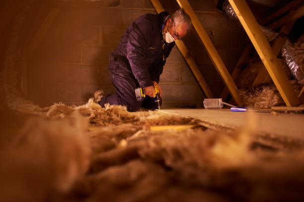 Best Attic Insulation Installation  in Bellevue, NE