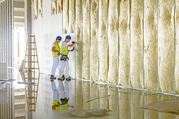 Best Insulation Contractors for Homes  in Bellevue, NE